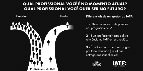 Qual profissional você é no momento atual?